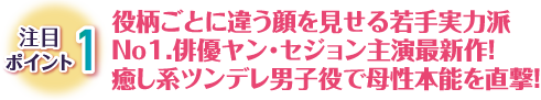 注目ポイント1　役柄ごとに違う顔を見せる若手実力派No1.俳優ヤン・セジョン主演最新作!癒し系ツンデレ男子役で母性本能を直撃!