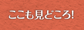 ここも見どころ！