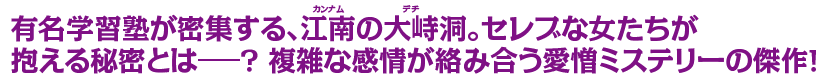 有名学習塾が密集する、江南の大峙洞。セレブな女たちが抱える秘密とは―？ 複雑な感情が絡み合う愛憎ミステリーの傑作！