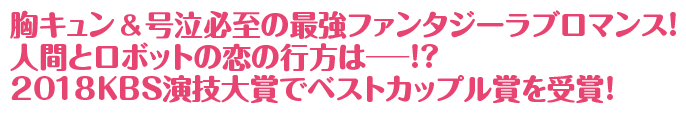 胸キュン＆号泣必至の最強ファンタジーラブロマンス！人間とロボットの恋の行方は―!? 2018KBS演技大賞でベストカップル賞を受賞！