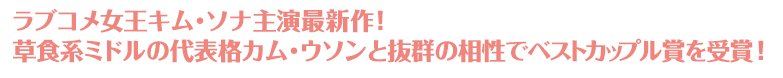 ラブコメ女王キム・ソナ主演最新作! 草食系ミドルの代表格カム・ウソンと抜群の相性でベストカップル賞を受賞!