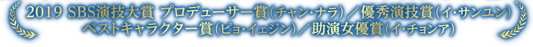 2019 SBS演技大賞 プロデューサー賞（チャン・ナラ）／優秀演技賞（イ・サンユン）ベストキャラクター賞（ピョ・イェジン）／助演女優賞（イ・チョンア）